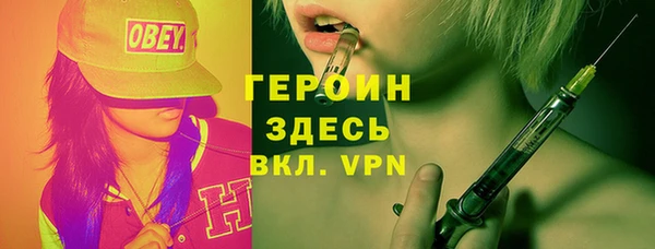 шишки Ельня