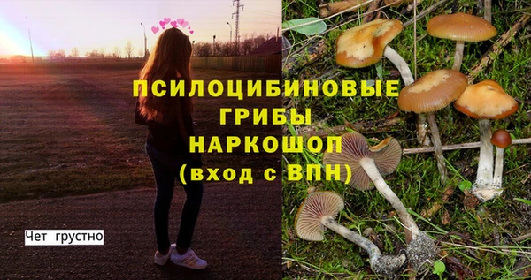 альфа пвп Заволжск