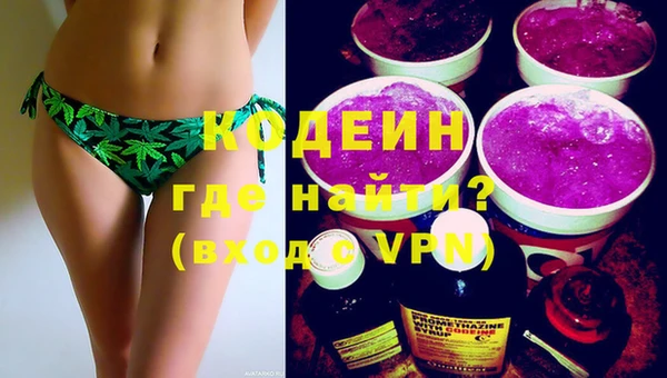 шишки Ельня
