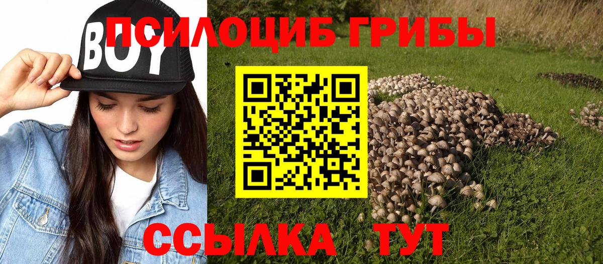 Галлюциногенные грибы мухоморы Губаха